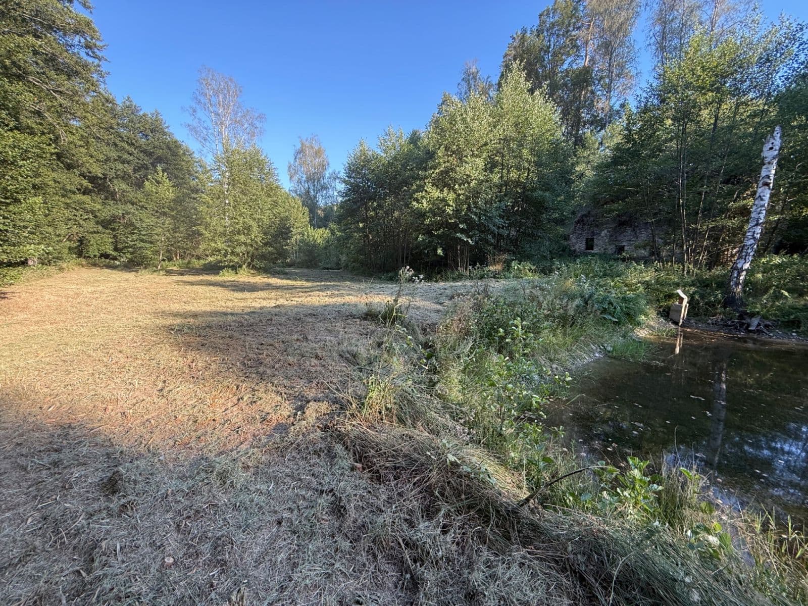 Prodej pozemku 8.551 m², Malšín, Jihočeský kraj Prodej pozemku 8.551 m², Malšín, Jihočeský kraj