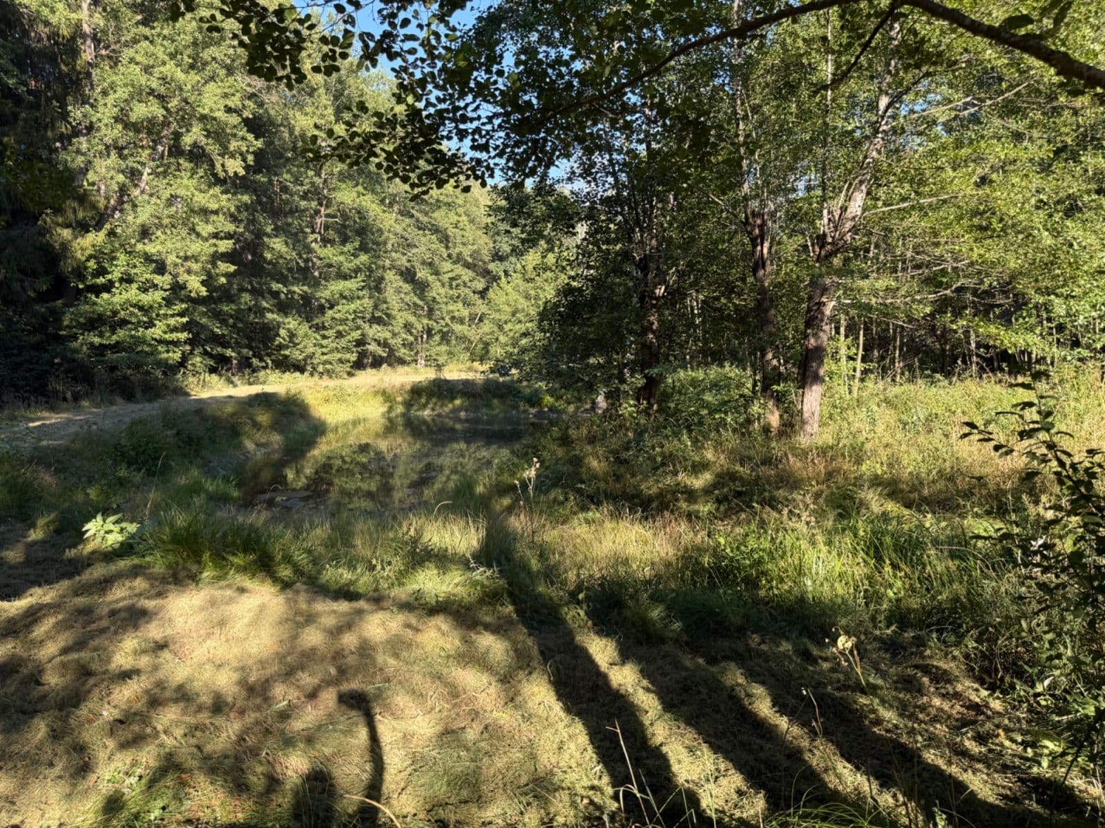 Prodej pozemku 8.551 m², Malšín, Jihočeský kraj Prodej pozemku 8.551 m², Malšín, Jihočeský kraj