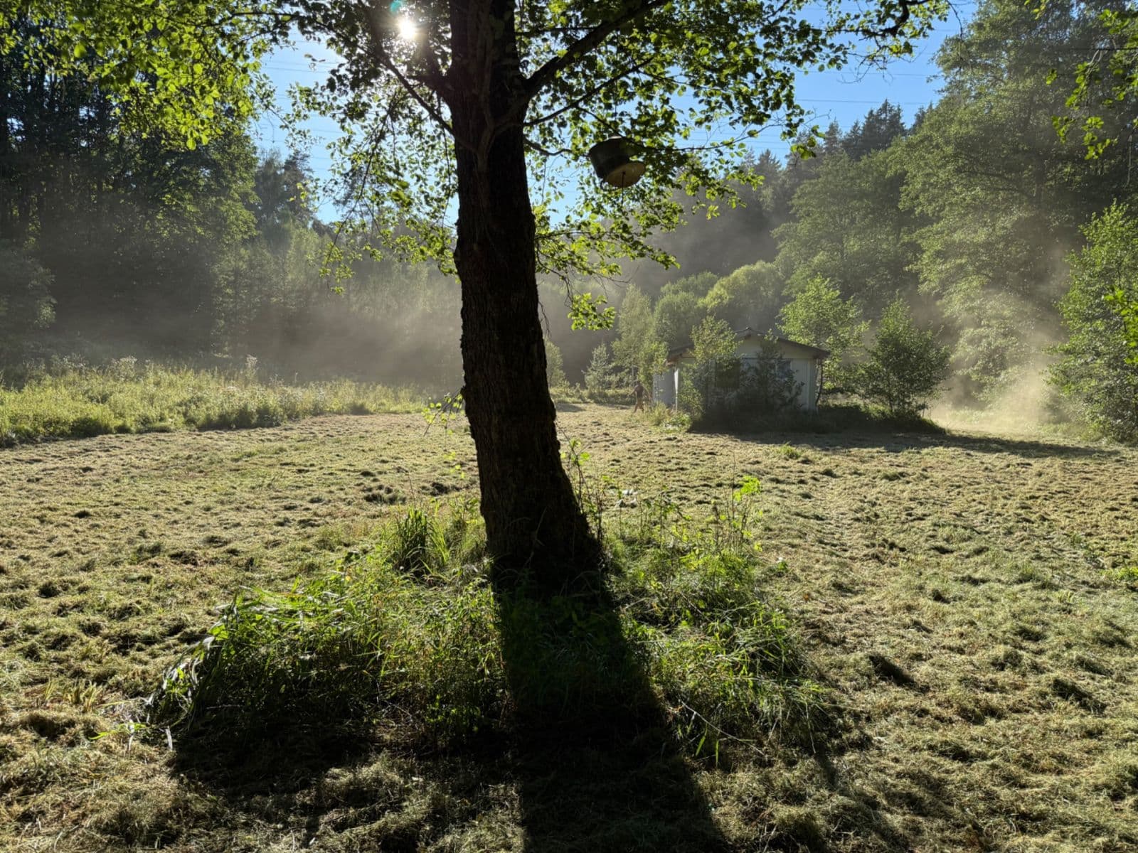 Prodej pozemku 8.551 m², Malšín, Jihočeský kraj Prodej pozemku 8.551 m², Malšín, Jihočeský kraj
