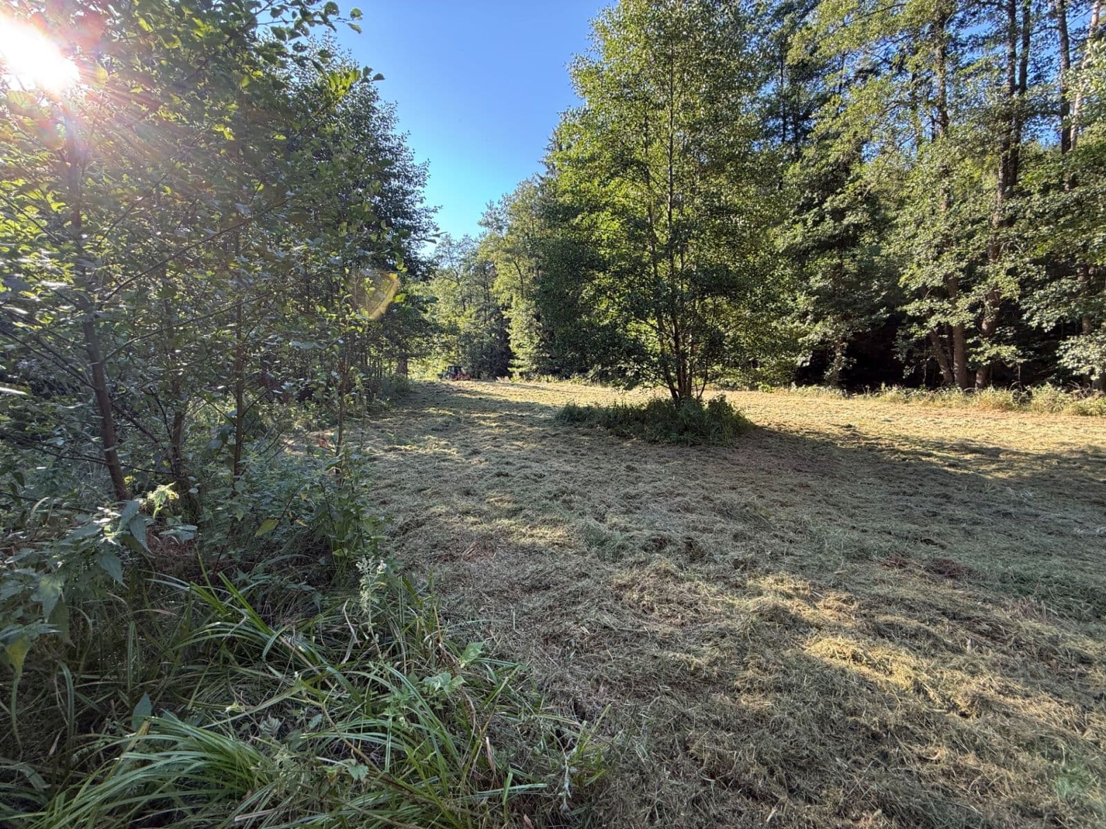 Prodej pozemku 8.551 m², Malšín, Jihočeský kraj Prodej pozemku 8.551 m², Malšín, Jihočeský kraj