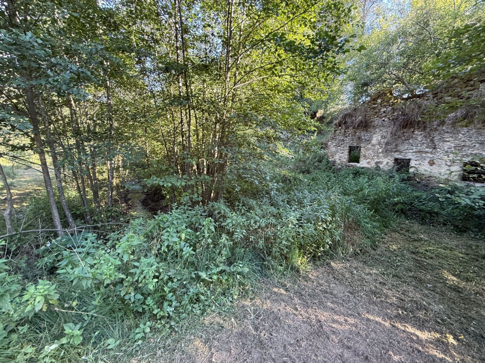 Prodej pozemku 8.551 m², Malšín, Jihočeský kraj Prodej pozemku 8.551 m², Malšín, Jihočeský kraj