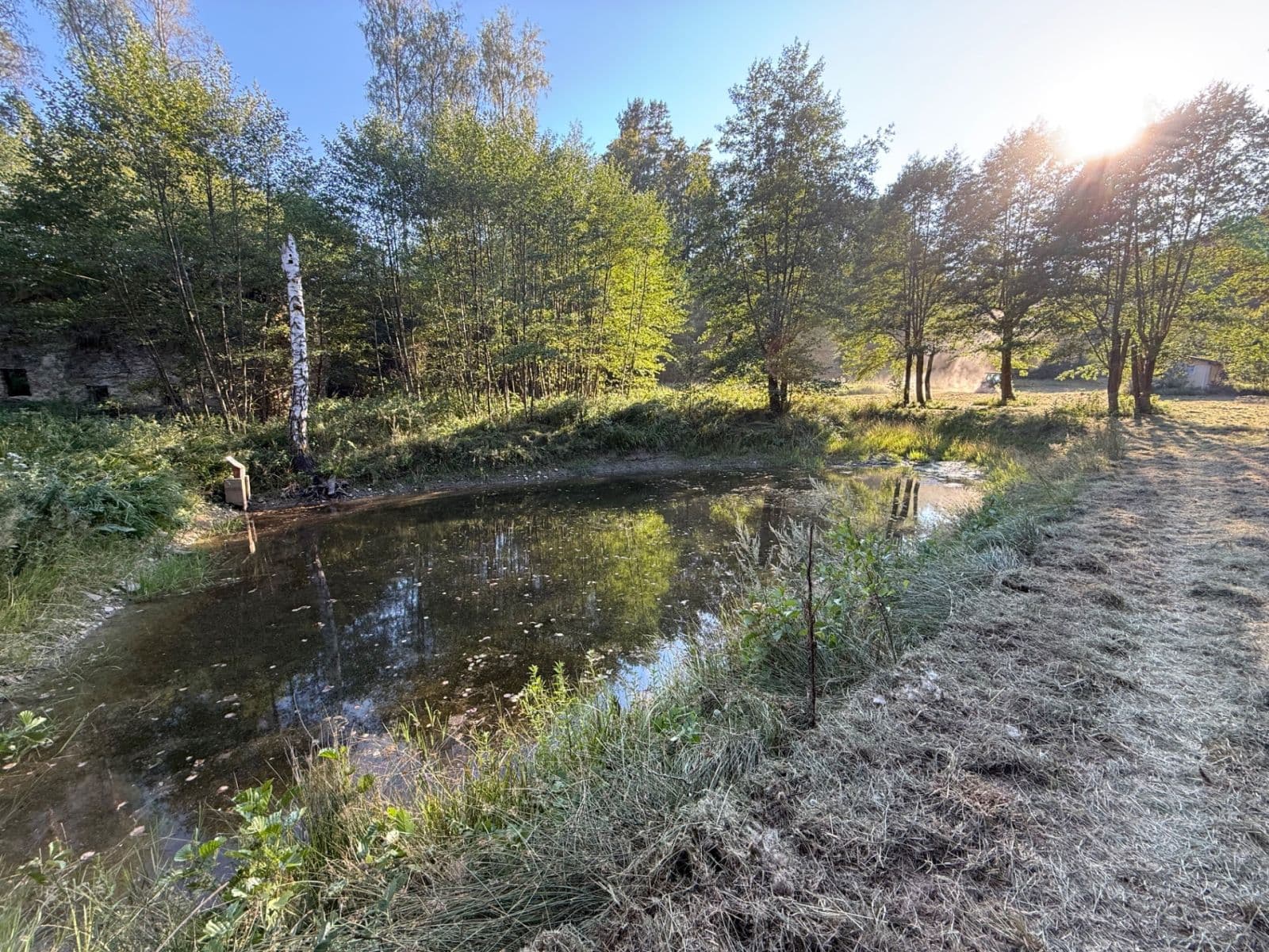 Prodej pozemku 8.551 m², Malšín, Jihočeský kraj Prodej pozemku 8.551 m², Malšín, Jihočeský kraj