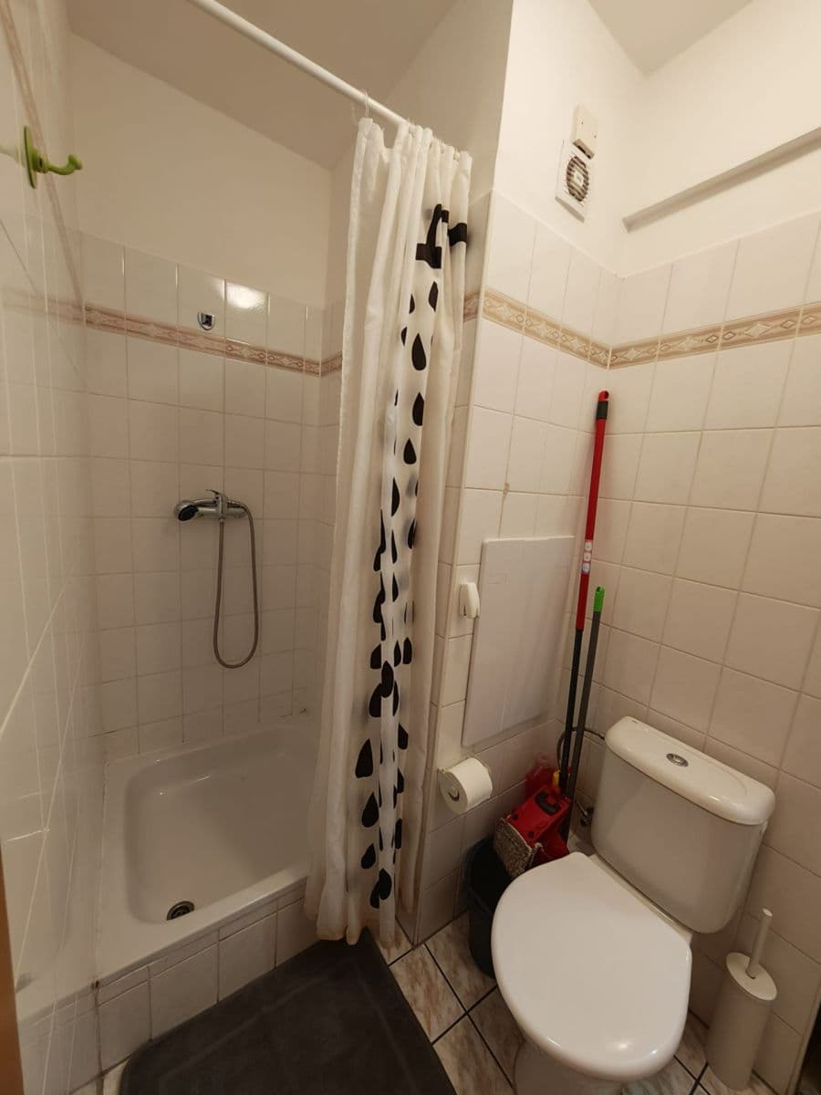 Prodej bytu 1+1 39 m², K Lanovce, Jáchymov, Karlovarský kraj Prodej bytu 1+1 39 m², K Lanovce, Jáchymov, Karlovarský kraj