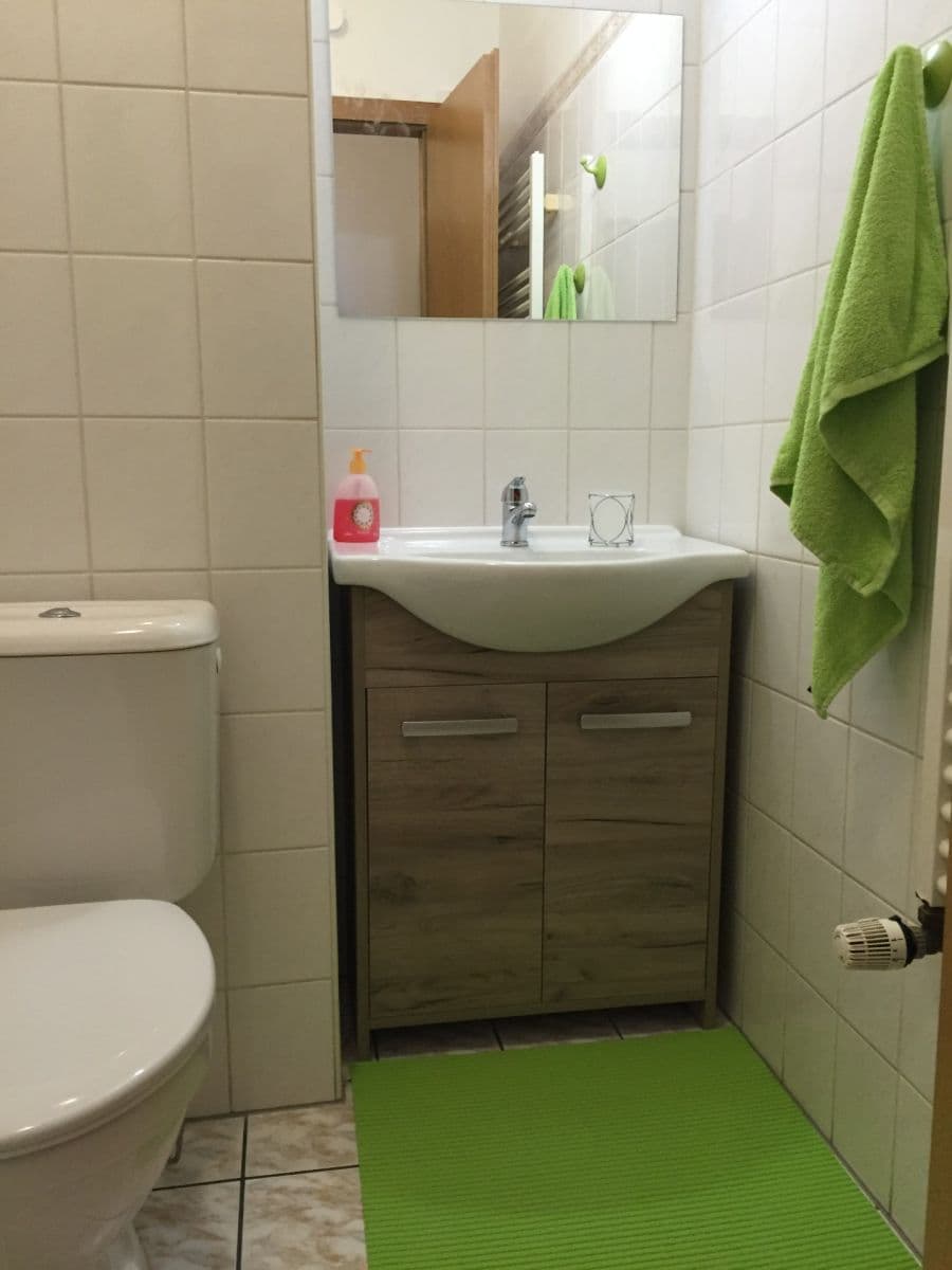 Prodej bytu 1+1 39 m², K Lanovce, Jáchymov, Karlovarský kraj Prodej bytu 1+1 39 m², K Lanovce, Jáchymov, Karlovarský kraj