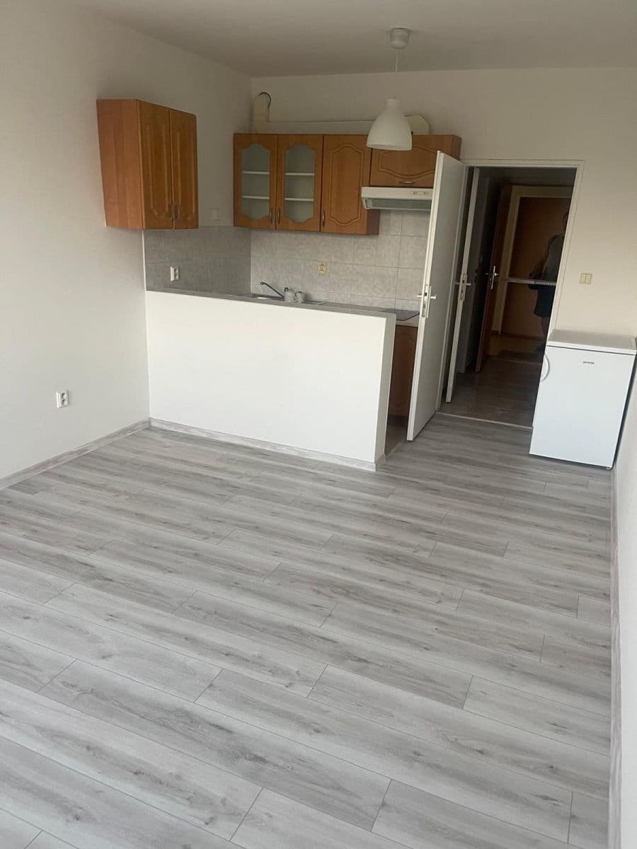 Pronájem bytu 1+kk 26 m², Štúrova, Praha, Praha Pronájem bytu 1+kk 26 m², Štúrova, Praha, Praha