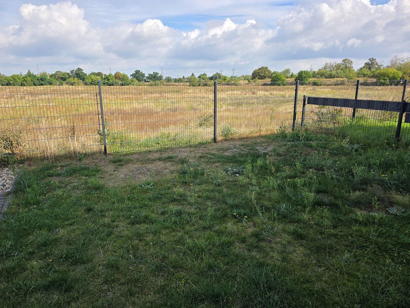 Pronájem domu 125 m², pozemek 337 m², Rehberge 27, Biederitz, Sasko-Anhaltsko Pronájem domu 125 m², pozemek 337 m², Rehberge 27, Biederitz, Sasko-Anhaltsko