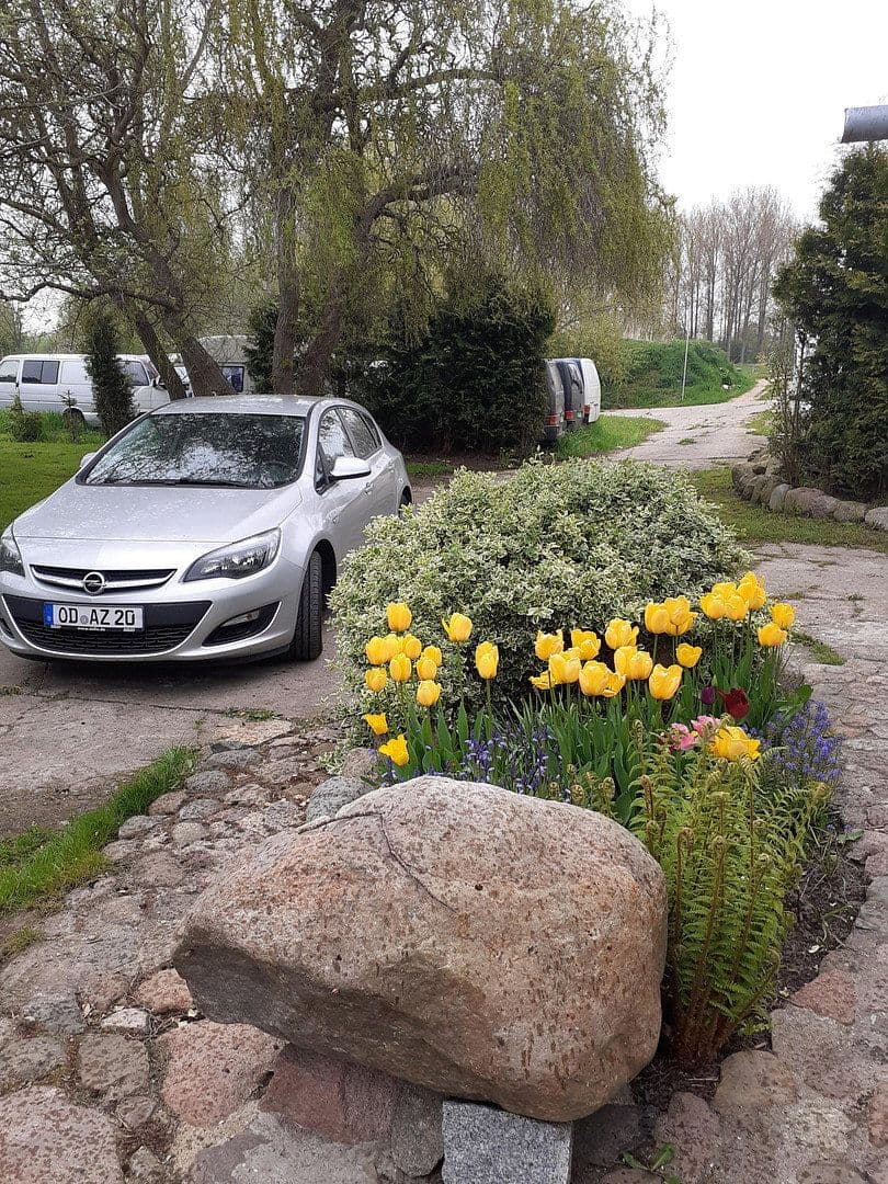 Prodej domu 310 m², pozemek 4.288 m², Parkstraße 2, Velgast, Mecklenburg-Vorpommern Prodej domu 310 m², pozemek 4.288 m², Parkstraße 2, Velgast, Mecklenburg-Vorpommern