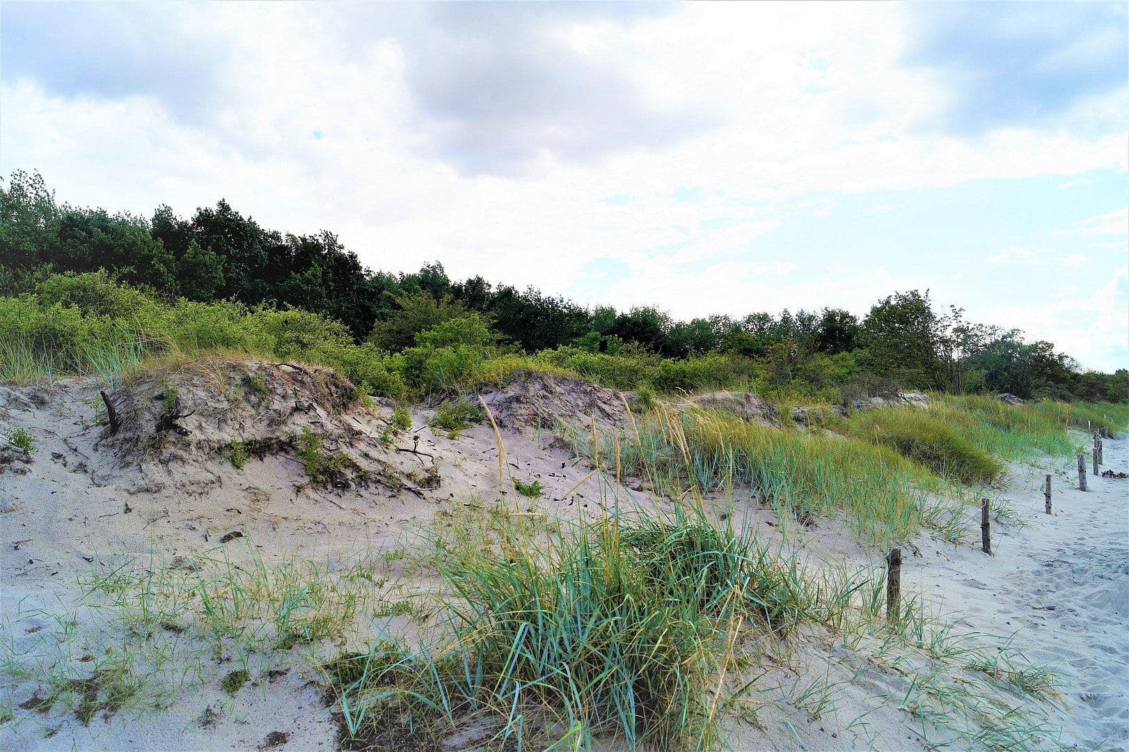 Prodej domu 140 m², pozemek 879 m², Strandkoppel 25b, Dassow, Mecklenburg-Vorpommern Prodej domu 140 m², pozemek 879 m², Strandkoppel 25b, Dassow, Mecklenburg-Vorpommern