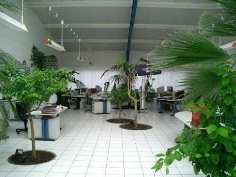 Pronájem nebytového prostoru 720 m², Industriegebiet 14, Gersheim, Země Sársko Pronájem nebytového prostoru 720 m², Industriegebiet 14, Gersheim, Země Sársko