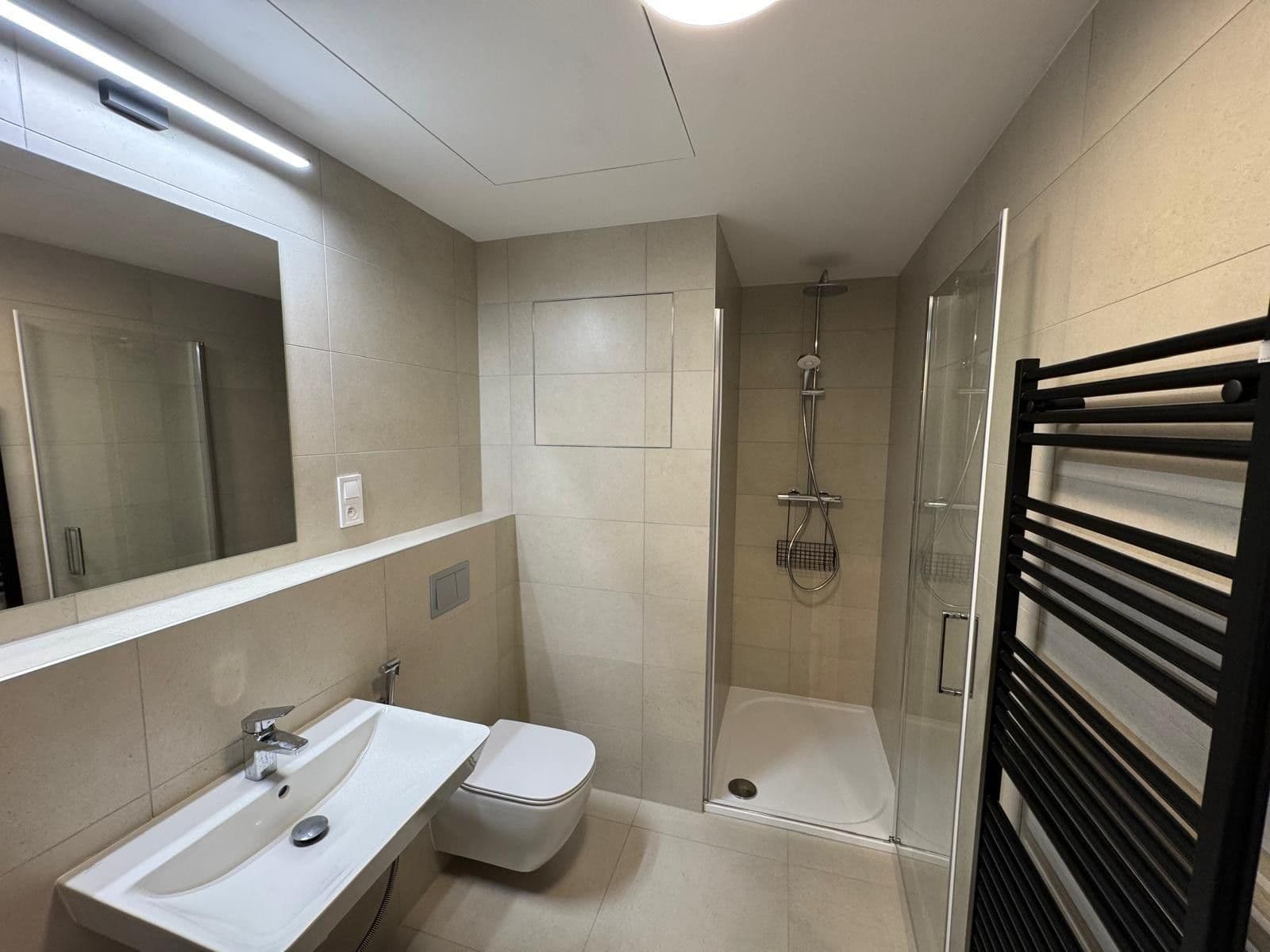 Pronájem bytu 1+kk 42 m², Budovcova, Praha, Praha Pronájem bytu 1+kk 42 m², Budovcova, Praha, Praha