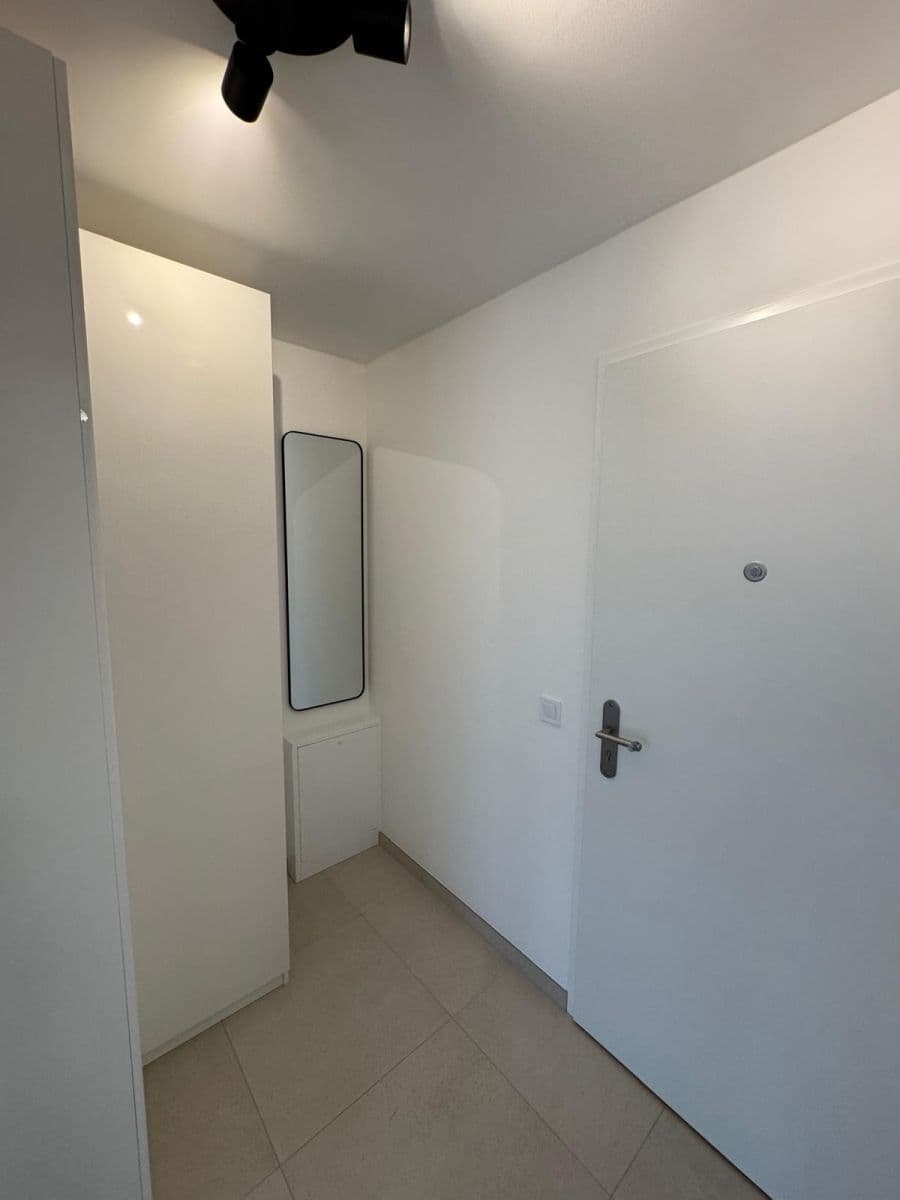 Pronájem bytu 1+kk 42 m², Budovcova, Praha, Praha Pronájem bytu 1+kk 42 m², Budovcova, Praha, Praha