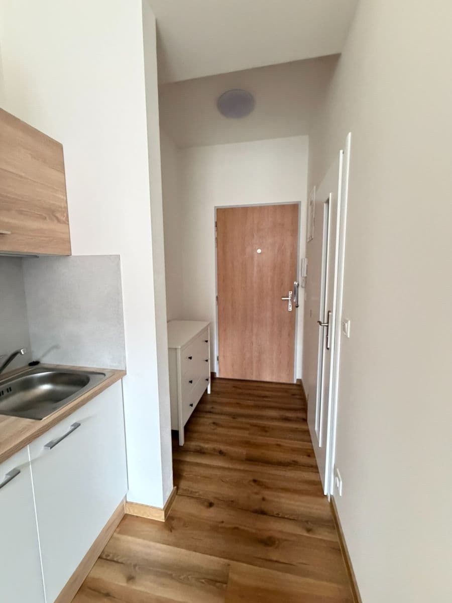 Pronájem bytu 1+kk 24 m², Písecká, Praha, Praha Pronájem bytu 1+kk 24 m², Písecká, Praha, Praha