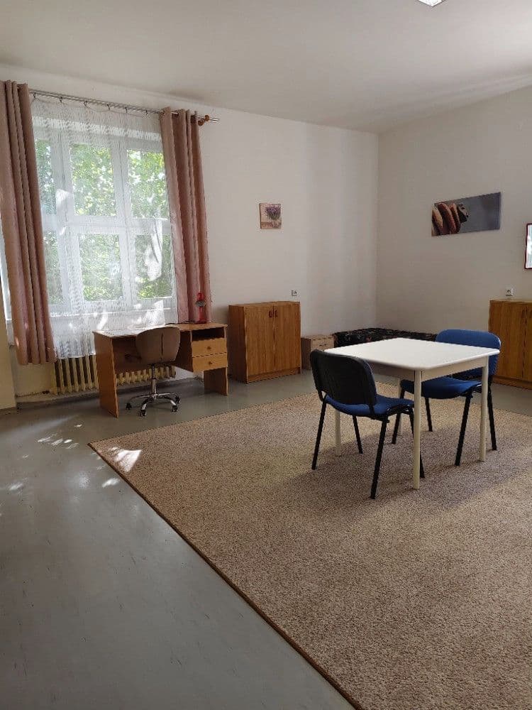 Pronájem bytu 3+1 40 m², Kamenomlýnská, Brno, Jihomoravský kraj Pronájem bytu 3+1 40 m², Kamenomlýnská, Brno, Jihomoravský kraj