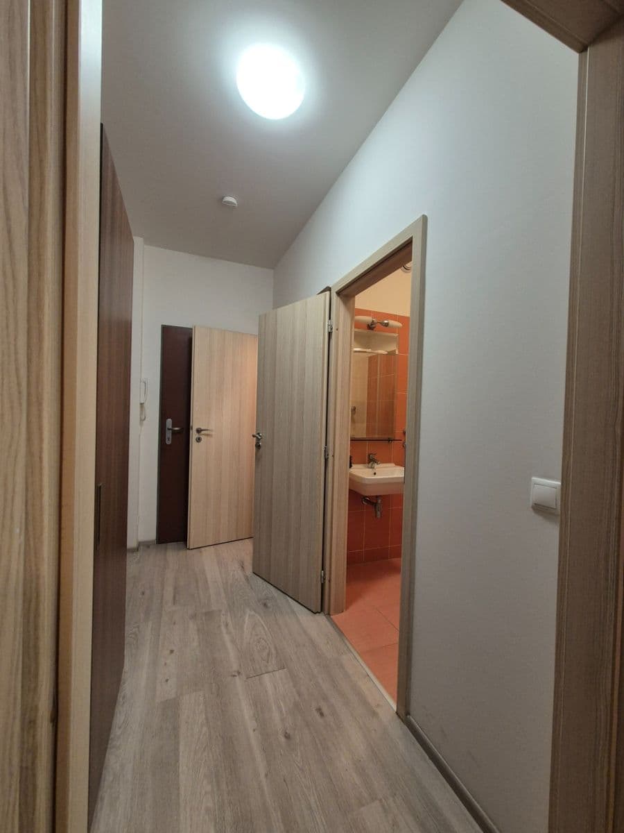 Pronájem bytu 1+kk 33 m², Freyova, Praha, Praha Pronájem bytu 1+kk 33 m², Freyova, Praha, Praha