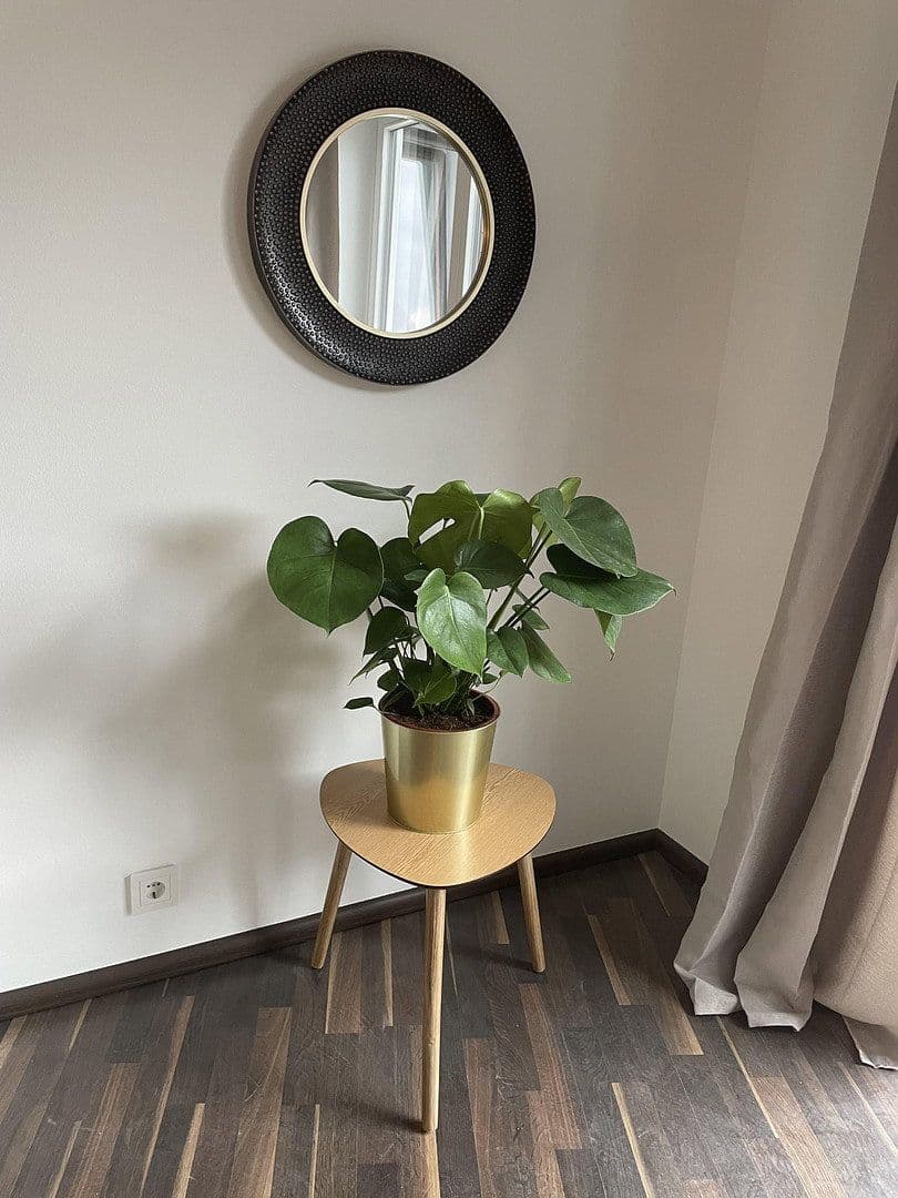 Pronájem bytu 2+1 65 m², Musäusstraße, Köln, Severní Porýní-Vestfálsko Pronájem bytu 2+1 65 m², Musäusstraße, Köln, Severní Porýní-Vestfálsko