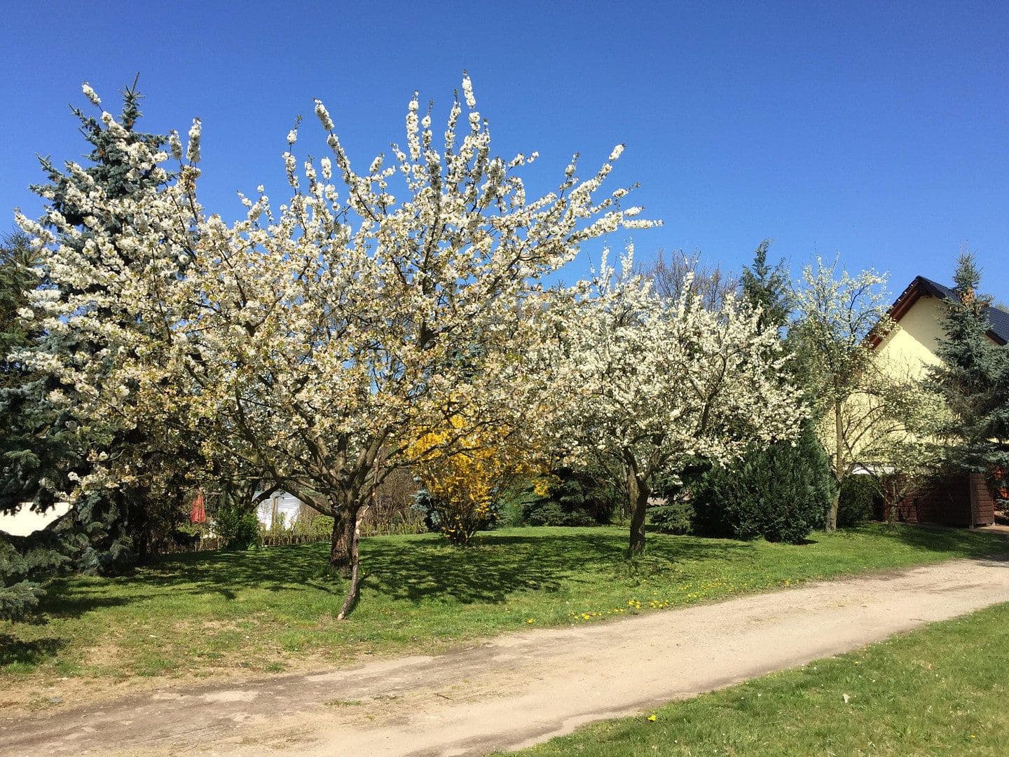 Pronájem bytu 3+1 100 m², Lübbenau/Spreewald, Braniborsko Pronájem bytu 3+1 100 m², Lübbenau/Spreewald, Braniborsko