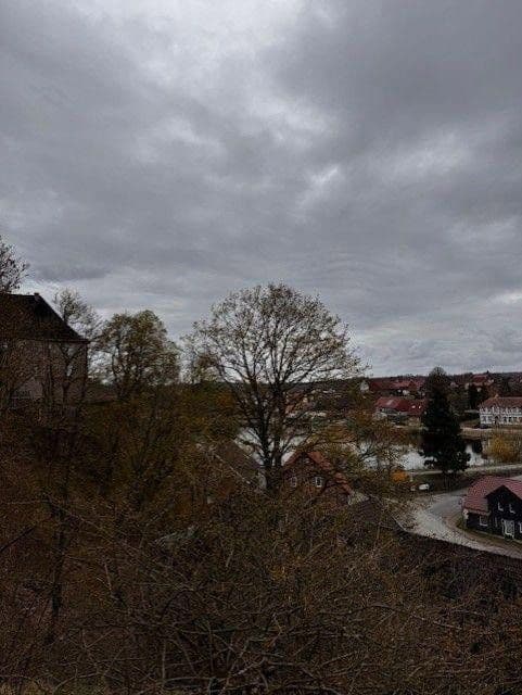 Prodej domu 68 m², pozemek 4.580 m², Hagenberg 17B, Oberharz am Brocken, Sasko-Anhaltsko Prodej domu 68 m², pozemek 4.580 m², Hagenberg 17B, Oberharz am Brocken, Sasko-Anhaltsko