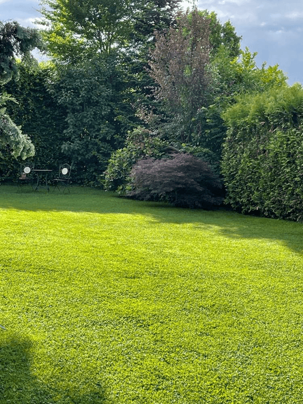 Prodej domu 195 m², pozemek 792 m², Dreieich, Hessen Prodej domu 195 m², pozemek 792 m², Dreieich, Hessen