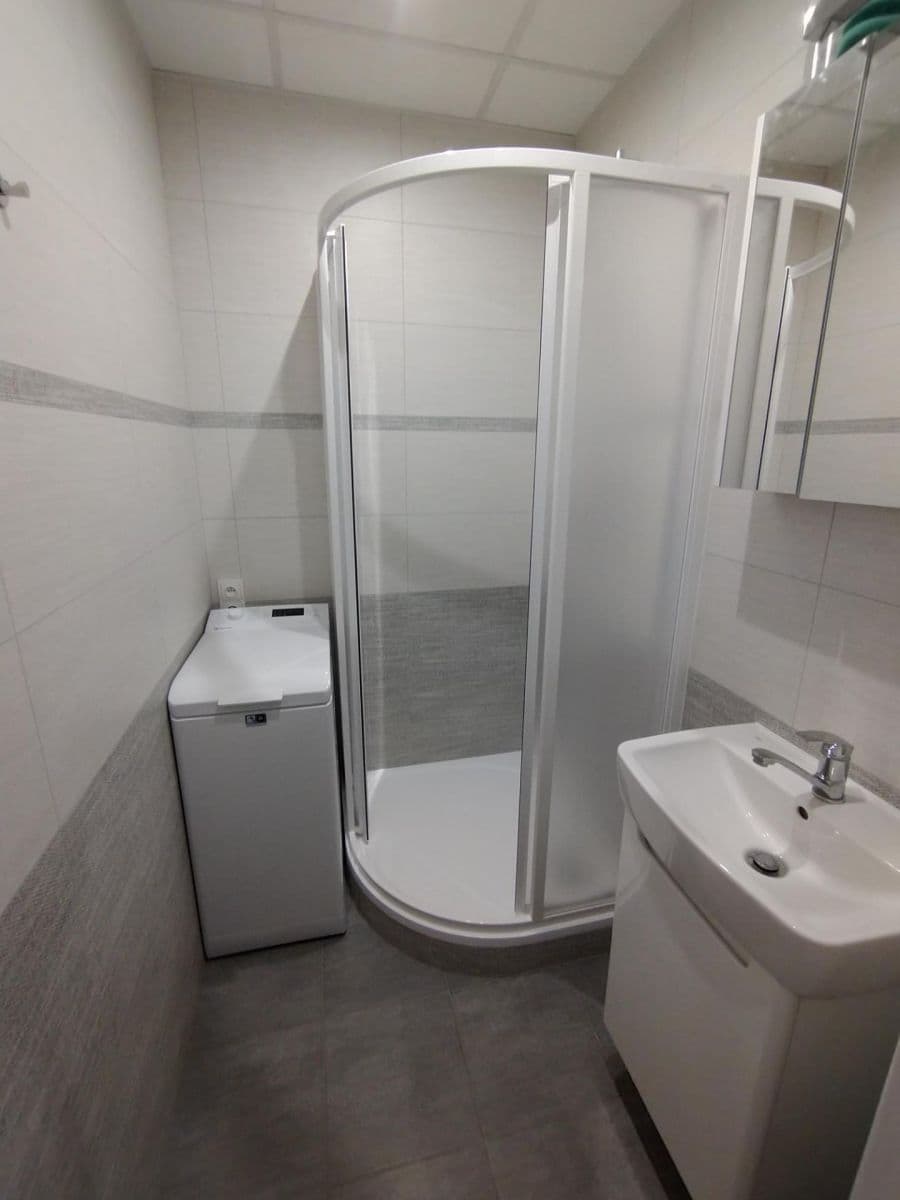 Pronájem bytu 1+kk 30 m², Černého, Praha, Praha Pronájem bytu 1+kk 30 m², Černého, Praha, Praha