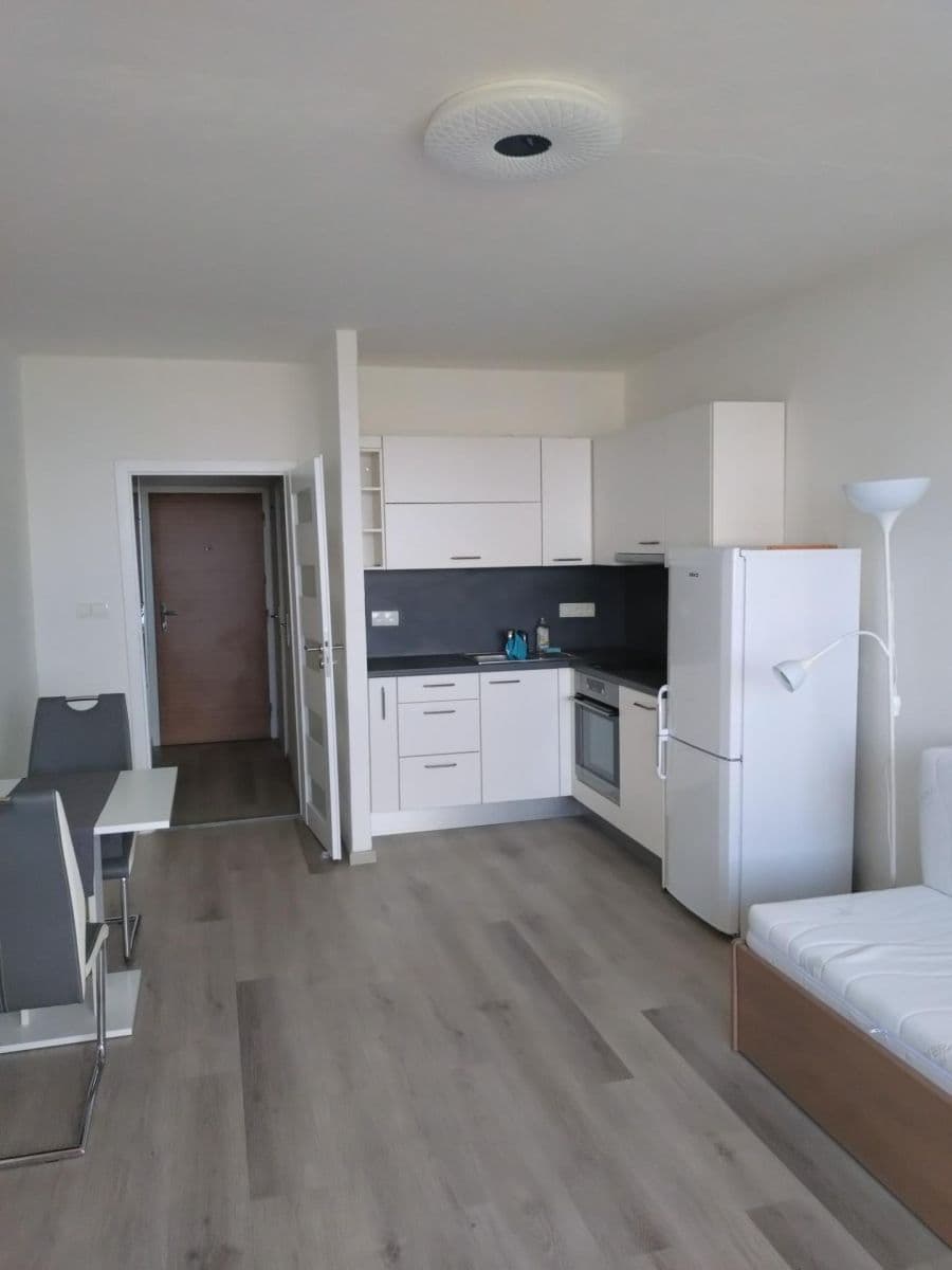 Pronájem bytu 1+kk 30 m², Černého, Praha, Praha Pronájem bytu 1+kk 30 m², Černého, Praha, Praha