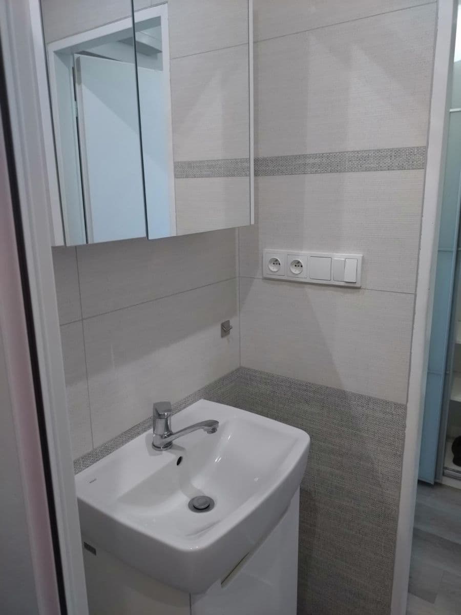 Pronájem bytu 1+kk 30 m², Černého, Praha, Praha Pronájem bytu 1+kk 30 m², Černého, Praha, Praha