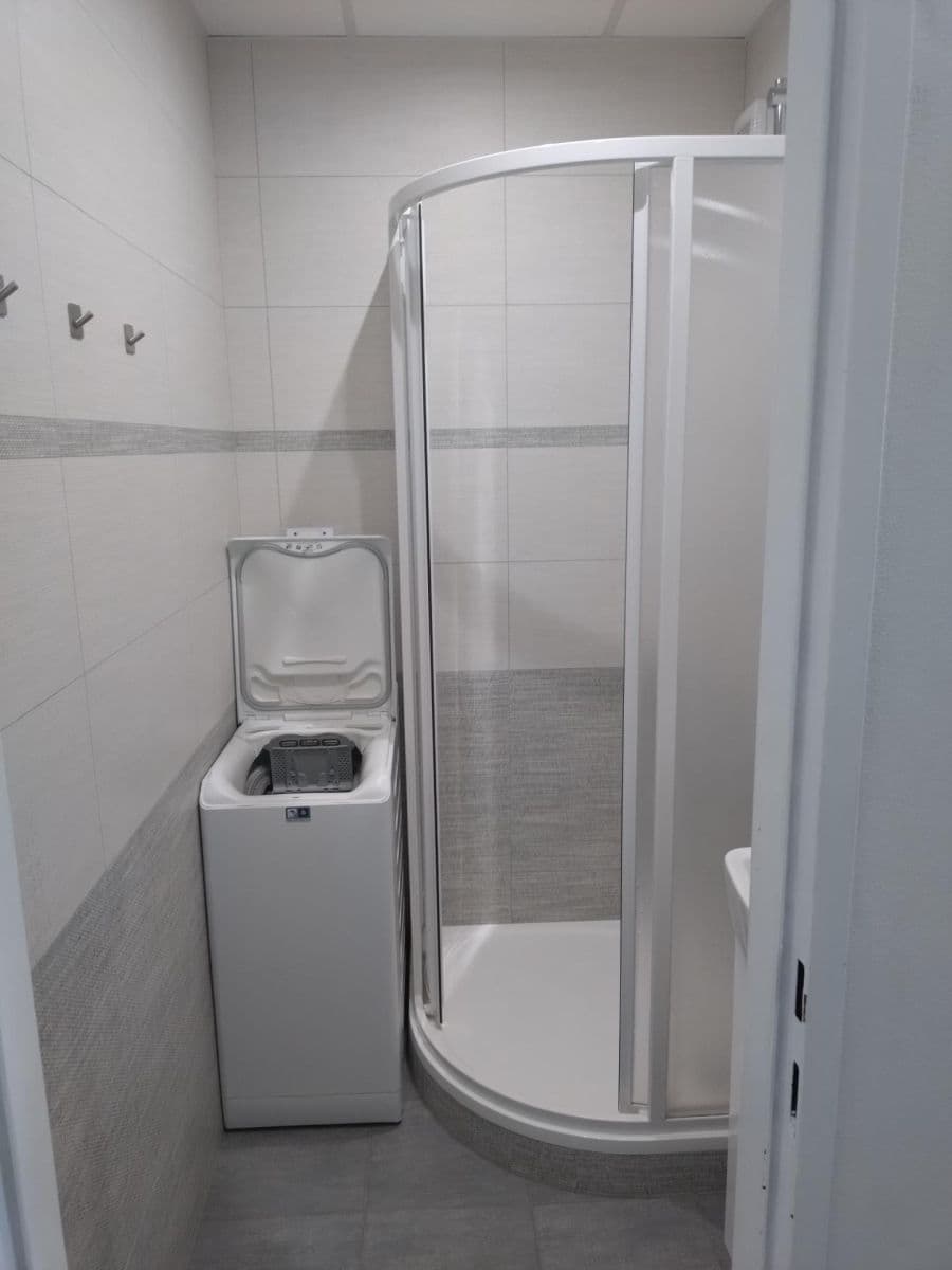 Pronájem bytu 1+kk 30 m², Černého, Praha, Praha Pronájem bytu 1+kk 30 m², Černého, Praha, Praha