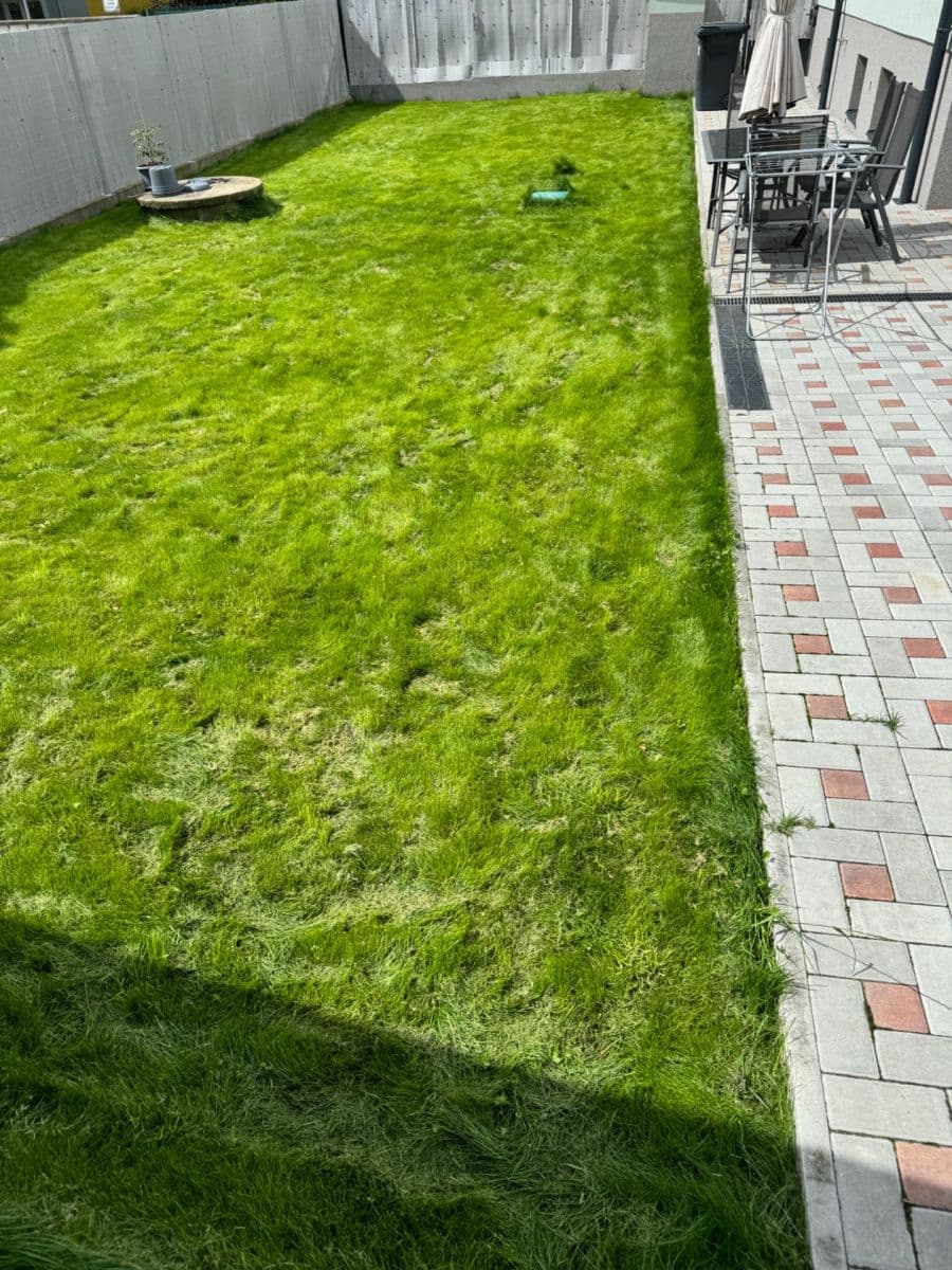 Pronájem bytu 1+kk 40 m², Náchodská, Praha, Praha Pronájem bytu 1+kk 40 m², Náchodská, Praha, Praha