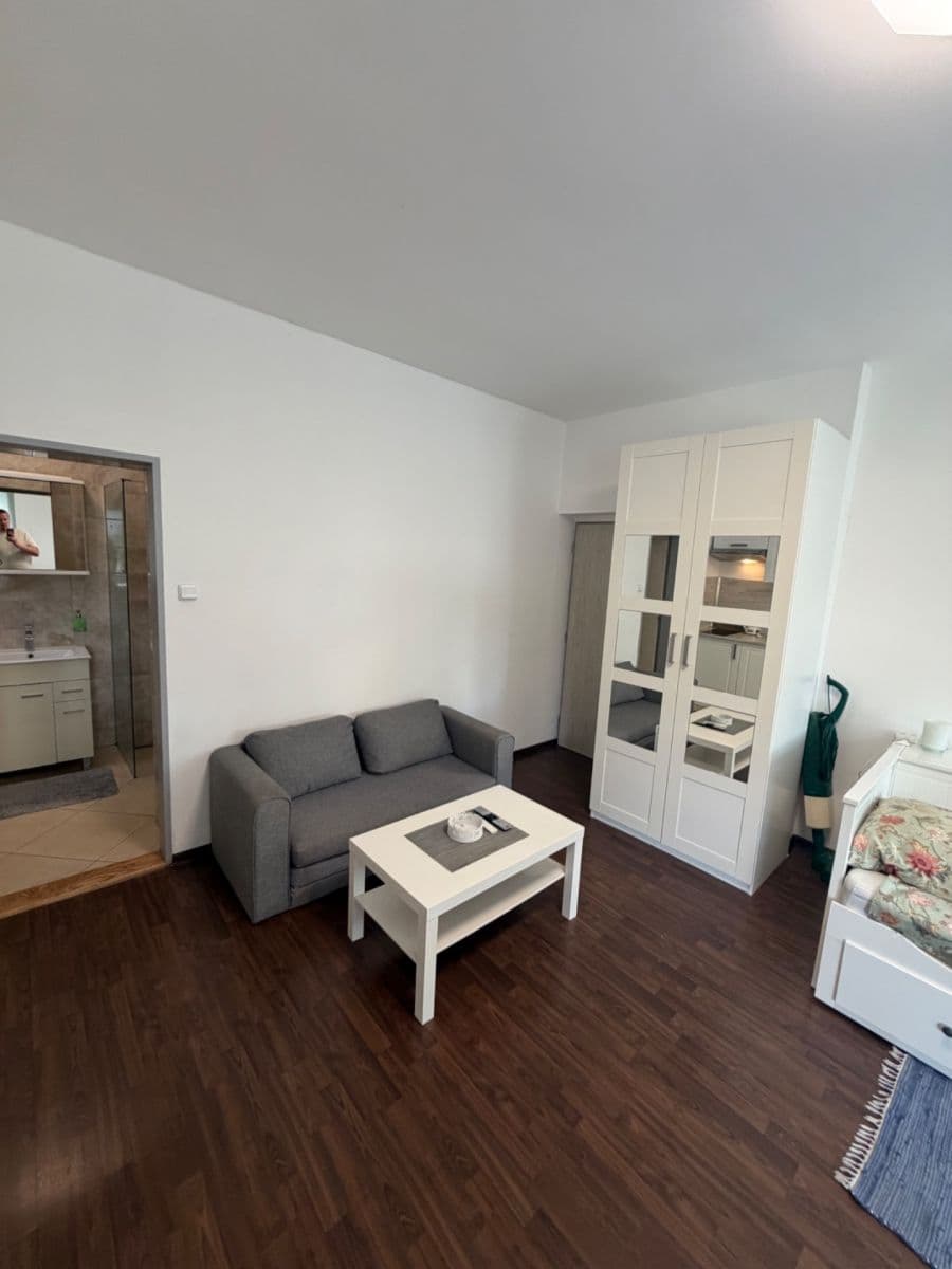 Pronájem bytu 1+kk 40 m², Božanovská, Praha, Praha Pronájem bytu 1+kk 40 m², Božanovská, Praha, Praha