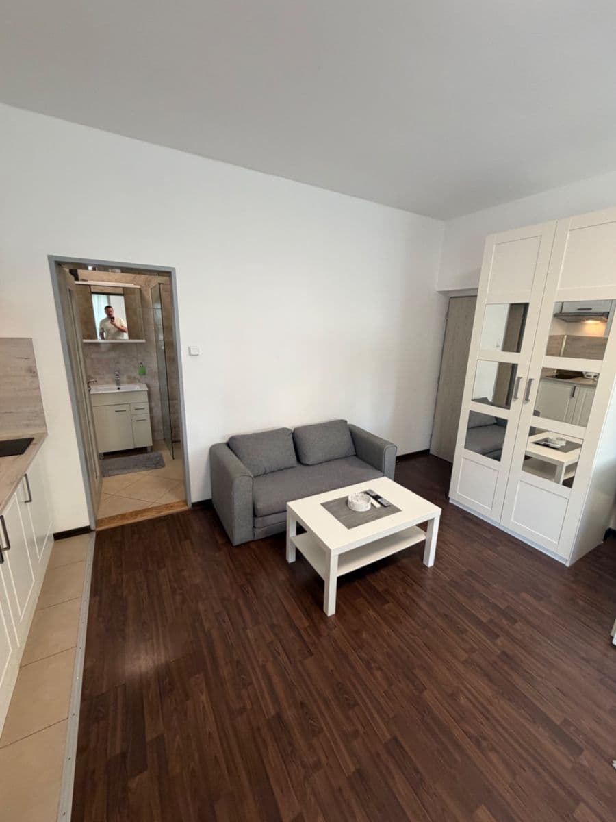 Pronájem bytu 1+kk 40 m², Božanovská, Praha, Praha Pronájem bytu 1+kk 40 m², Božanovská, Praha, Praha
