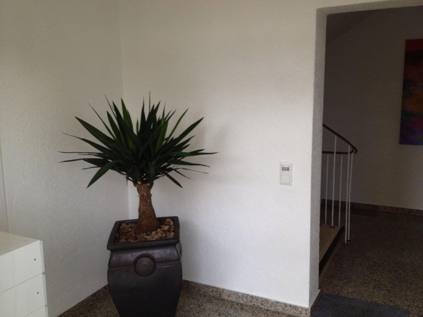 Pronájem bytu 2+1 50 m², Unter den Linden 0, Horn-Bad Meinberg, Severní Porýní-Vestfálsko Pronájem bytu 2+1 50 m², Unter den Linden 0, Horn-Bad Meinberg, Severní Porýní-Vestfálsko