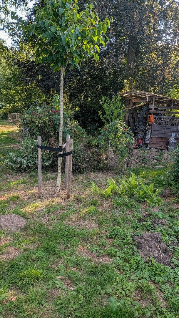 Prodej domu 144 m², pozemek 1.416 m², Hennef (Sieg), Severní Porýní-Vestfálsko Prodej domu 144 m², pozemek 1.416 m², Hennef (Sieg), Severní Porýní-Vestfálsko