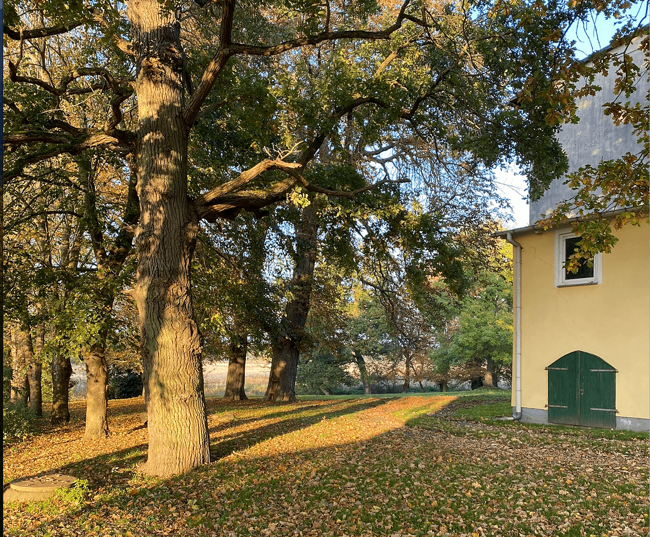 Prodej nebytového prostoru 54.900 m², Gransebieth, Mecklenburg-Vorpommern Prodej nebytového prostoru 54.900 m², Gransebieth, Mecklenburg-Vorpommern