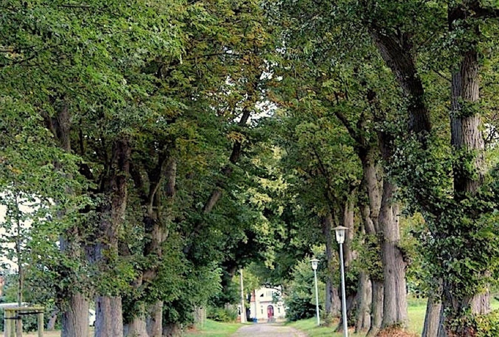 Prodej nebytového prostoru 54.900 m², Gransebieth, Mecklenburg-Vorpommern Prodej nebytového prostoru 54.900 m², Gransebieth, Mecklenburg-Vorpommern