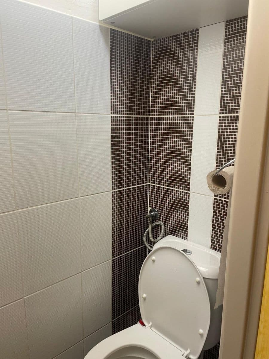 Pronájem bytu 1+1 30 m², Kubelíkova, Praha, Praha Pronájem bytu 1+1 30 m², Kubelíkova, Praha, Praha