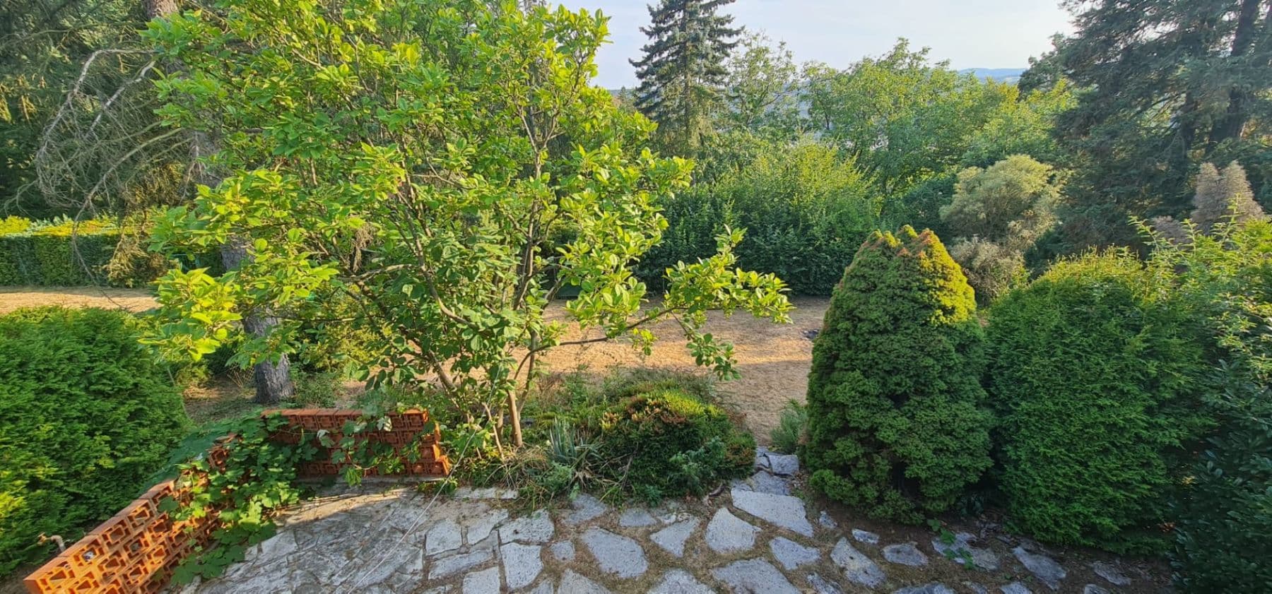 Pronájem chaty, chalupy 42 m², pozemek 415 m², Rabyně, Středočeský kraj Pronájem chaty, chalupy 42 m², pozemek 415 m², Rabyně, Středočeský kraj