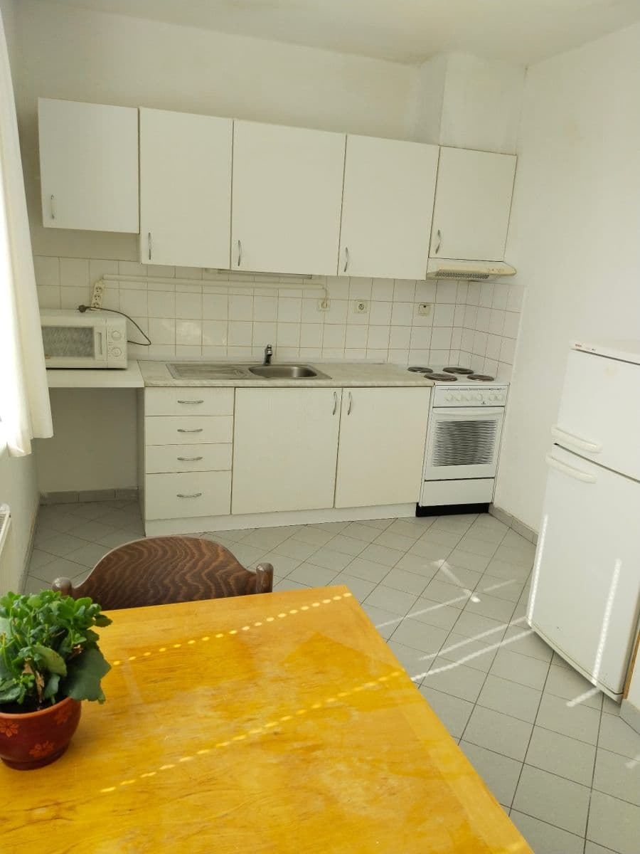 Pronájem bytu 1+kk 46 m², Na Ohradě, Praha, Praha Pronájem bytu 1+kk 46 m², Na Ohradě, Praha, Praha