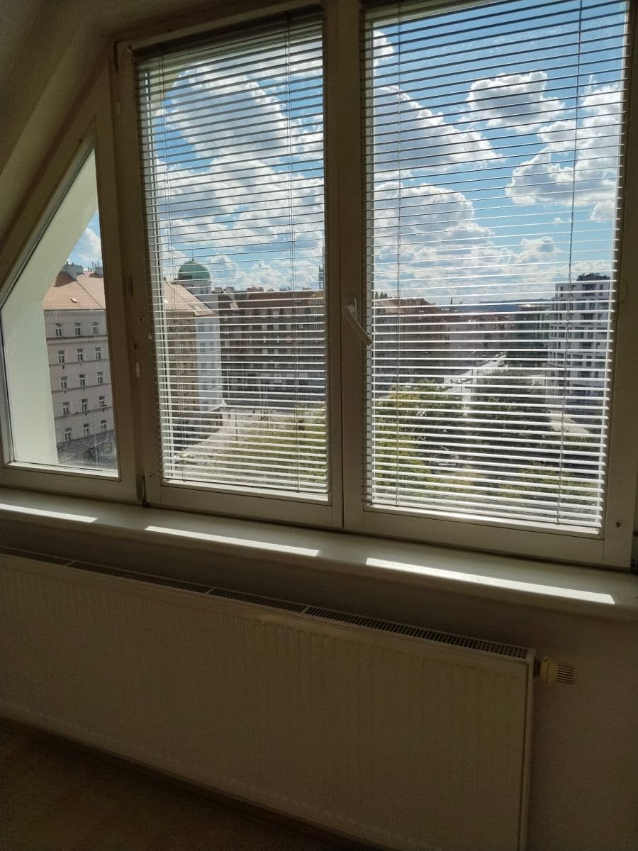 Pronájem bytu 1+kk 46 m², Na Ohradě, Praha, Praha Pronájem bytu 1+kk 46 m², Na Ohradě, Praha, Praha