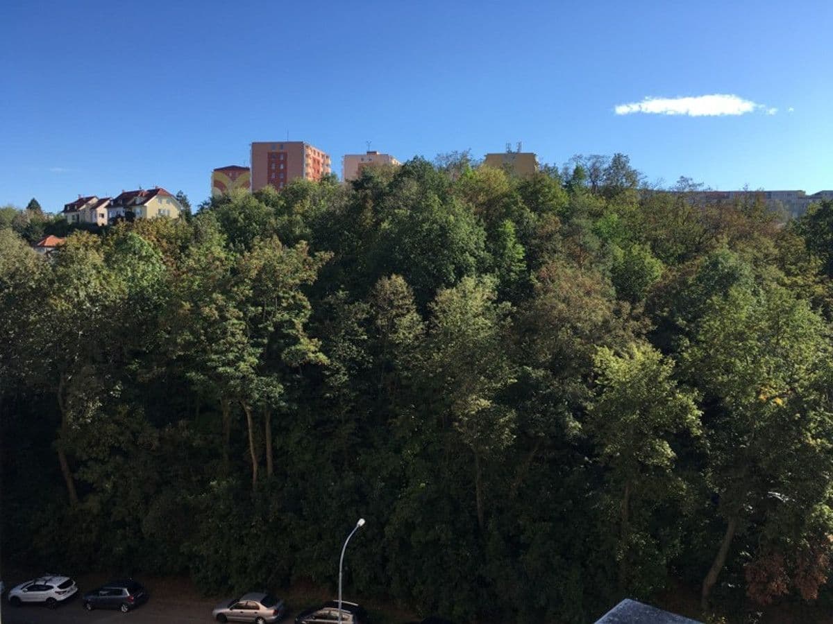 Pronájem bytu 1+1 36 m², Ulička, Brno, Jihomoravský kraj Pronájem bytu 1+1 36 m², Ulička, Brno, Jihomoravský kraj