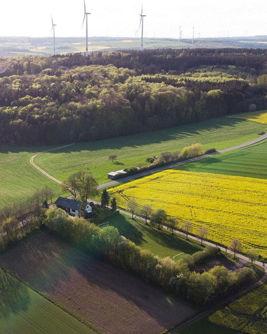 Prodej domu 131 m², pozemek 14.446 m², Rheinböllen, Porýní-Falc Prodej domu 131 m², pozemek 14.446 m², Rheinböllen, Porýní-Falc