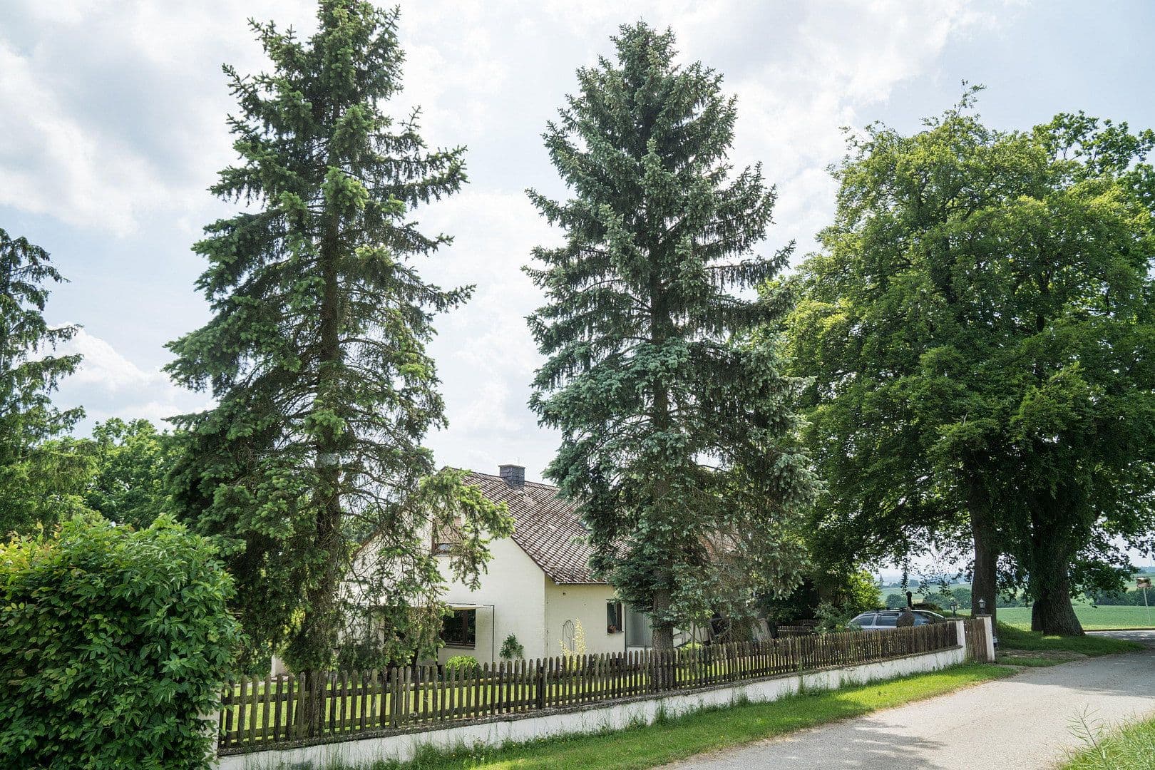 Prodej domu 131 m², pozemek 14.446 m², Rheinböllen, Porýní-Falc Prodej domu 131 m², pozemek 14.446 m², Rheinböllen, Porýní-Falc