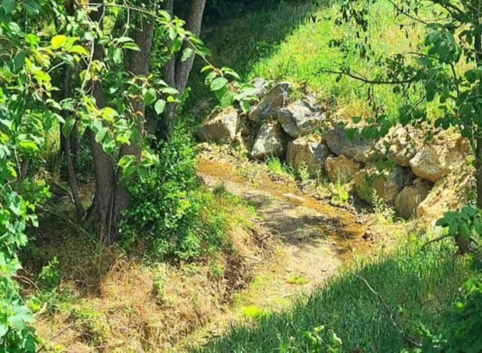 Prodej pozemku 976 m², Untere Mölten 20, Weinitzen, Štýrsko Prodej pozemku 976 m², Untere Mölten 20, Weinitzen, Štýrsko