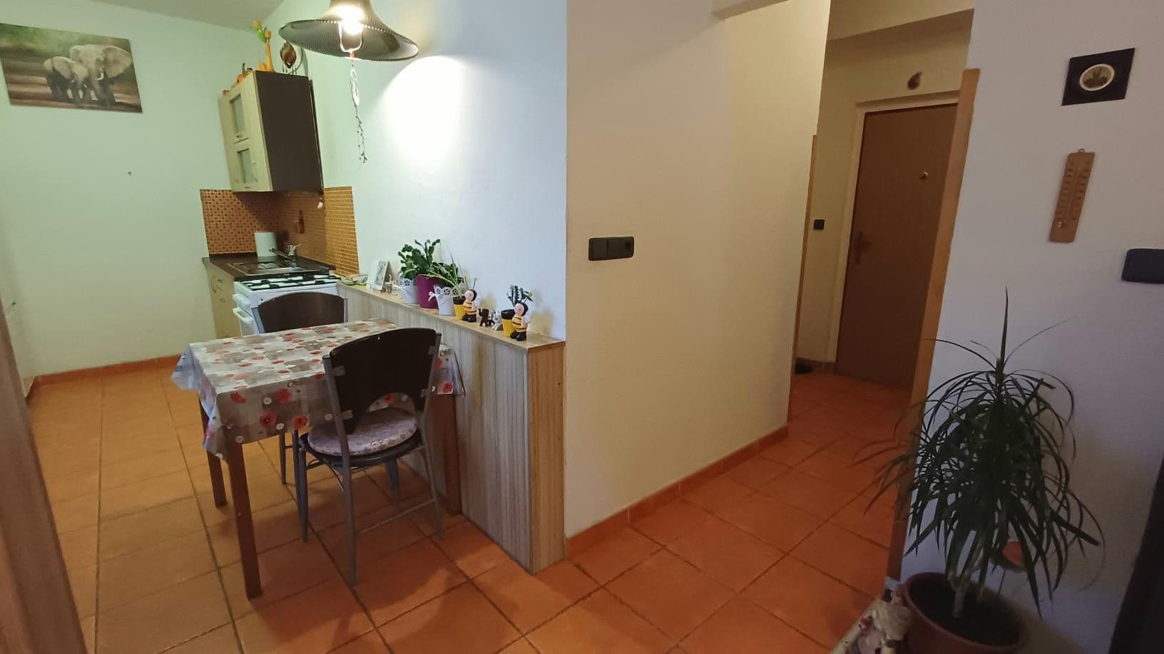 Pronájem bytu 2+1 54 m², Benešovo náměstí, Pardubice, Pardubický kraj Pronájem bytu 2+1 54 m², Benešovo náměstí, Pardubice, Pardubický kraj
