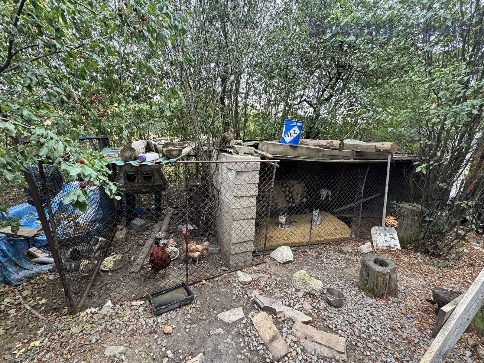 Prodej pozemku 2.259 m², Kunkovice, Zlínský kraj Prodej pozemku 2.259 m², Kunkovice, Zlínský kraj
