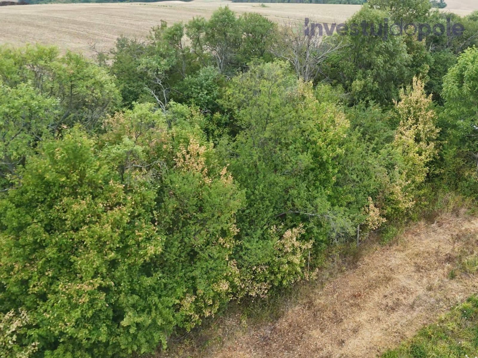 Prodej pozemku 2.259 m², Kunkovice, Zlínský kraj Prodej pozemku 2.259 m², Kunkovice, Zlínský kraj