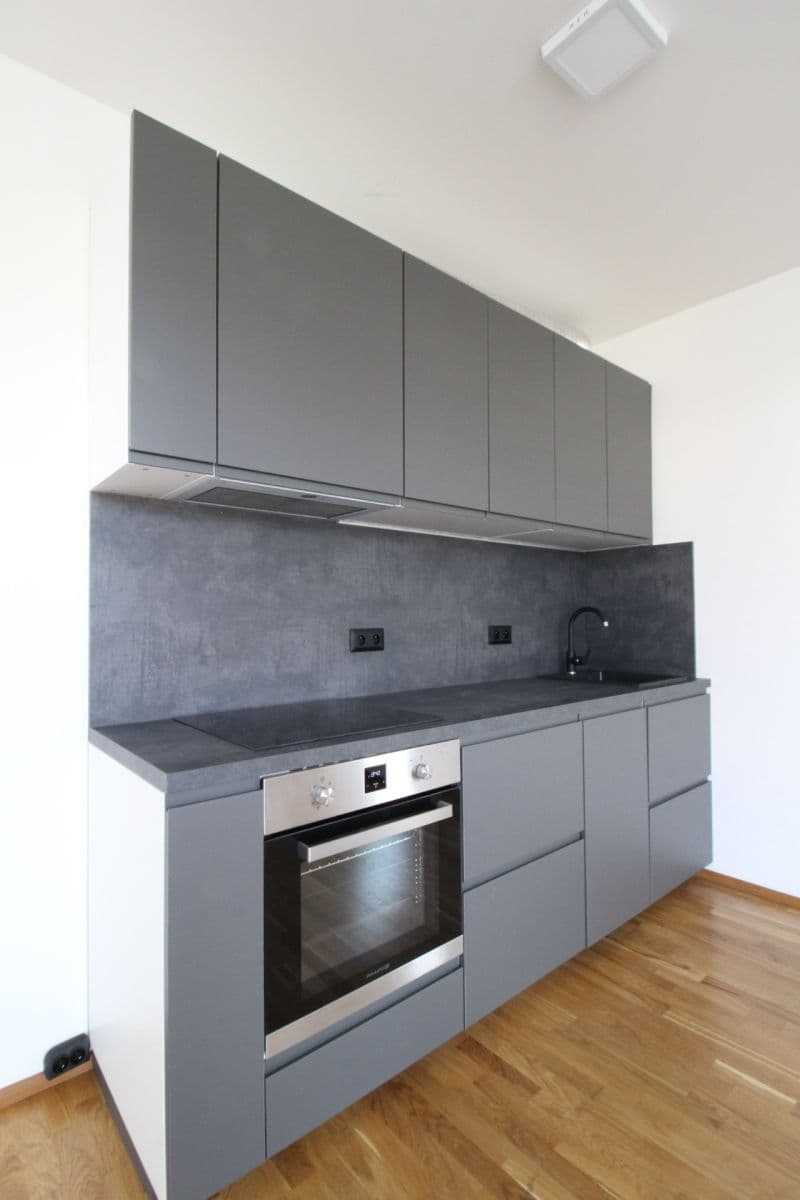 Pronájem bytu 1+kk 40 m², Pechmanových, Praha, Praha Pronájem bytu 1+kk 40 m², Pechmanových, Praha, Praha