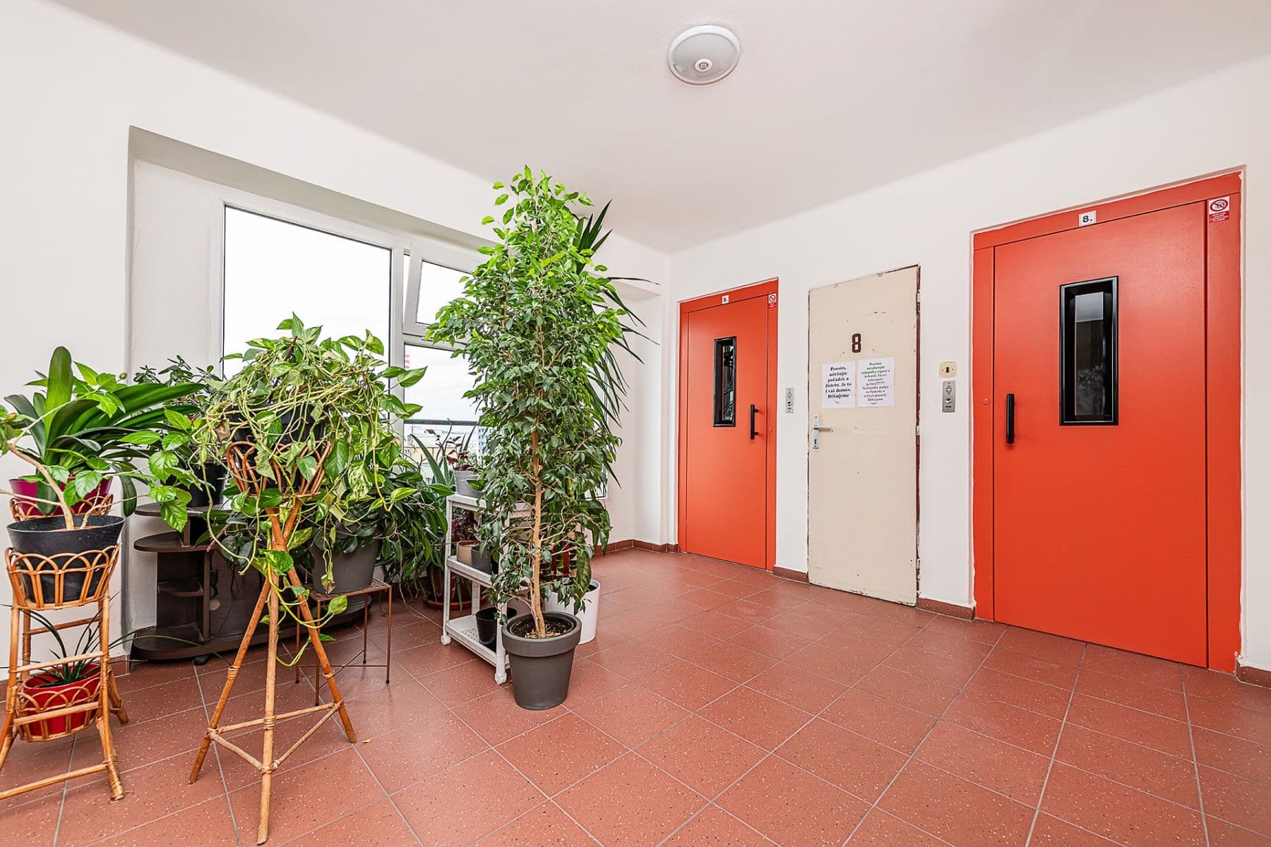 Prodej bytu 1+kk 36 m², Jičínská, Mladá Boleslav, Středočeský kraj Prodej bytu 1+kk 36 m², Jičínská, Mladá Boleslav, Středočeský kraj