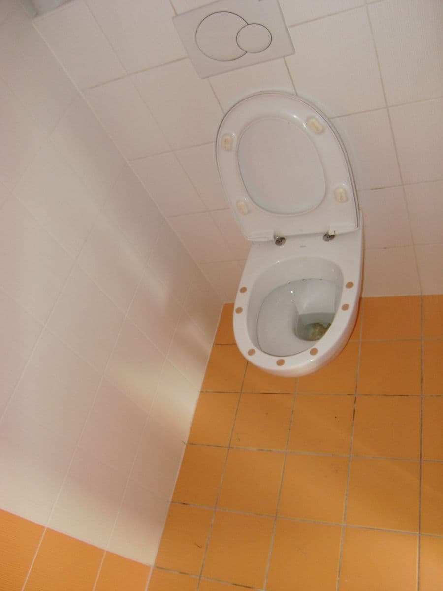 Prodej bytu 2+kk 55 m², Sedláčkova, Brno, Jihomoravský kraj Prodej bytu 2+kk 55 m², Sedláčkova, Brno, Jihomoravský kraj