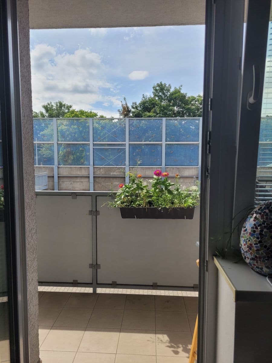 Prodej bytu 2+kk 46 m², Klíčova, Brno, Jihomoravský kraj Prodej bytu 2+kk 46 m², Klíčova, Brno, Jihomoravský kraj