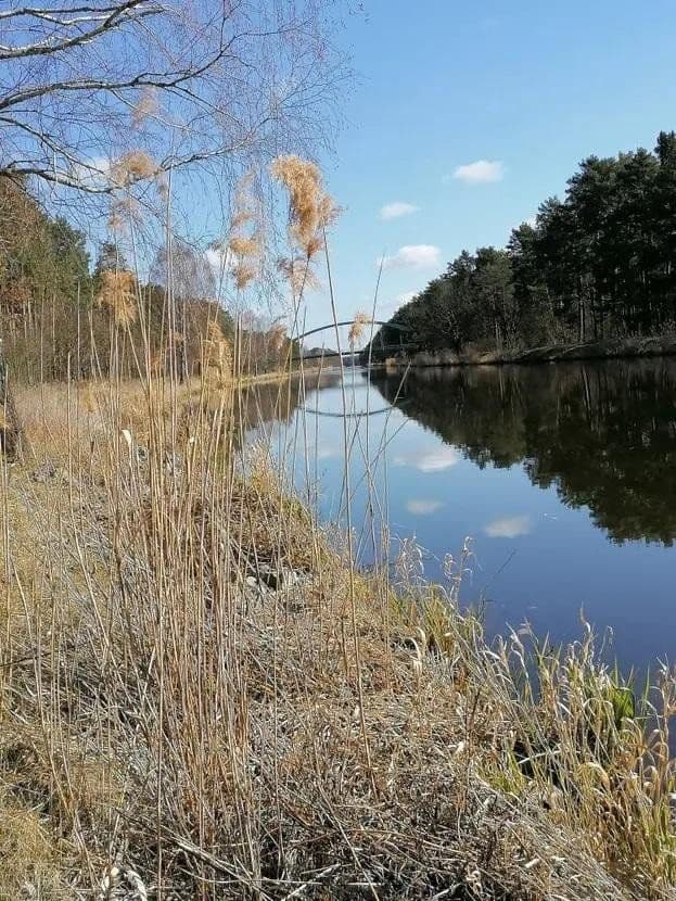 Pronájem bytu 2+1 80 m², Karl-Marx-Strasse 26, Oranienburg, Braniborsko Pronájem bytu 2+1 80 m², Karl-Marx-Strasse 26, Oranienburg, Braniborsko