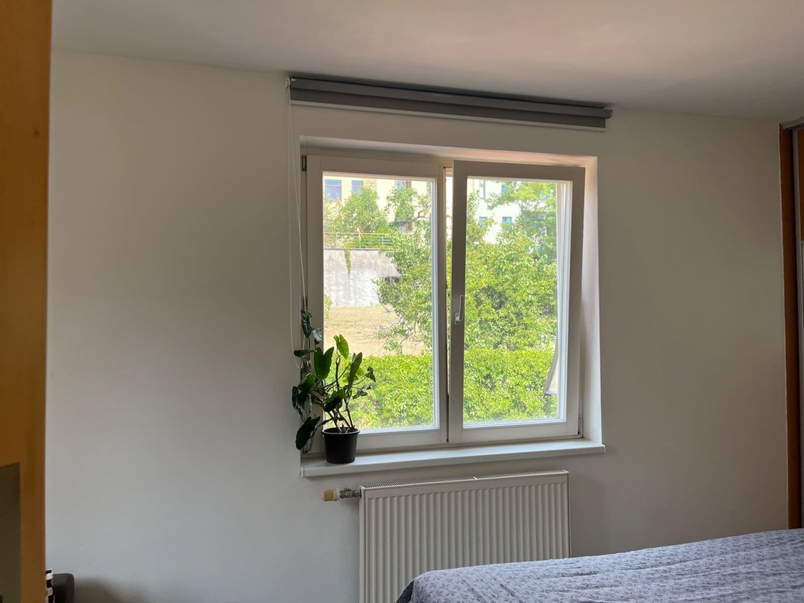 Pronájem bytu 2+kk 70 m², Pekařská, Brno, Jihomoravský kraj Pronájem bytu 2+kk 70 m², Pekařská, Brno, Jihomoravský kraj